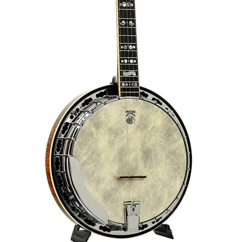 Deering Calico Custom Resonator Banjo (2001)