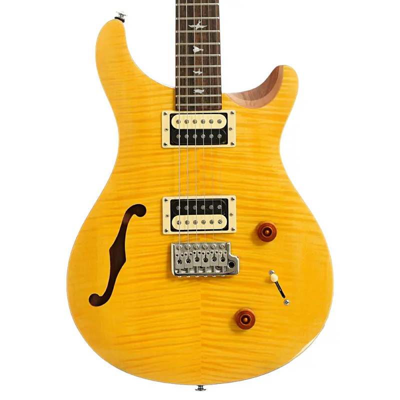 PRS SE Custom 22 Semi-Hollow Electric Guitar (2021)