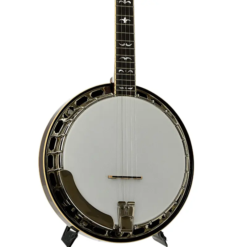 Recording RK-R36-BR Madison Deluxe Resonator Banjo (2023)