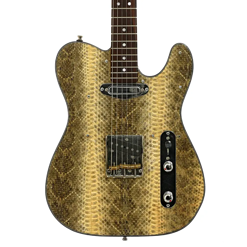 Wagner Snakeskin T Electric Guitar (recent)