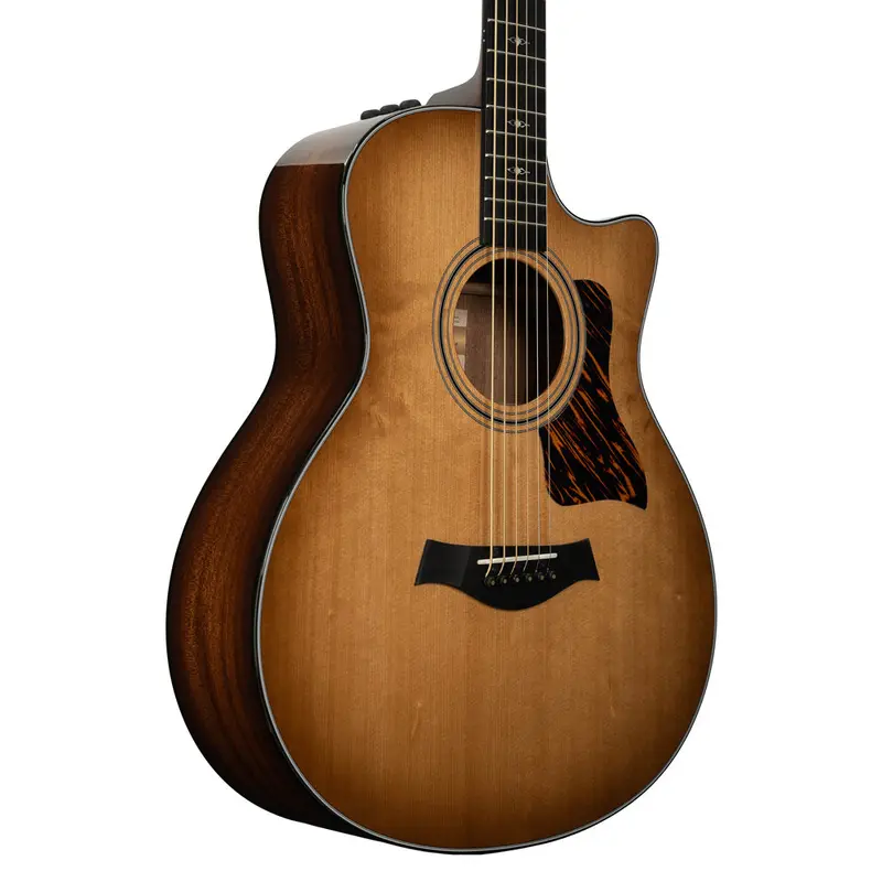 Taylor 50th Anniversary 316ce Baritone Grand Symphony Acoustic-electric Guitar | New