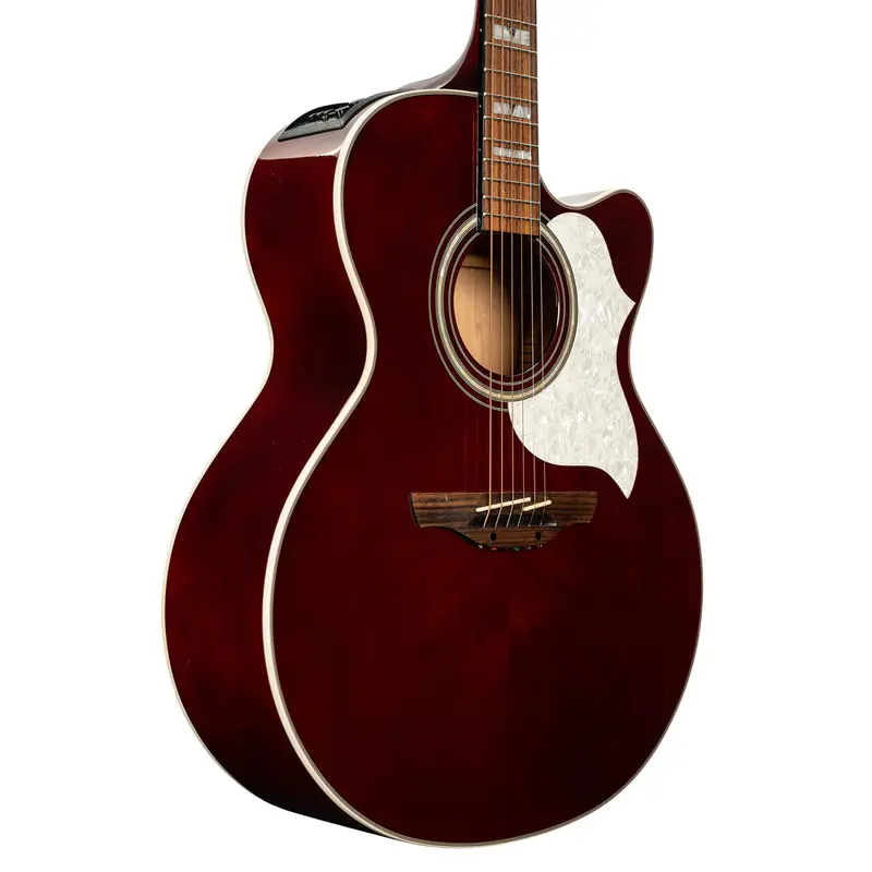 Pre-Owned Takamine EG523SC Acoustic-Electric Guitar | Used