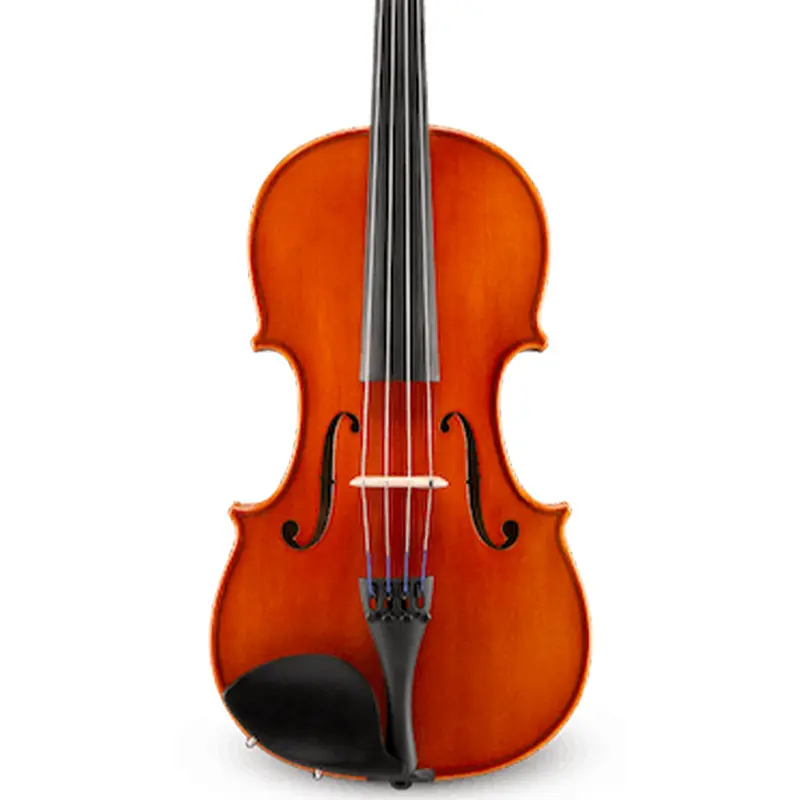 Samuel Eastman VA100 14" Student Viola Outfit w/ Case and Bow - High Gloss Varnish