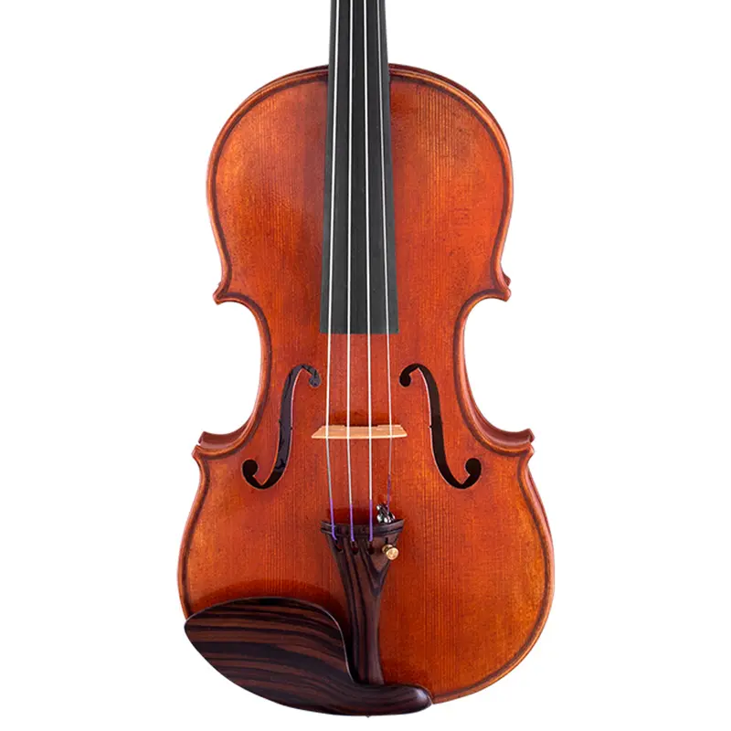 Scherl & Roth SR71 Professional 4/4 Violin Outfit w/ Case and Bow