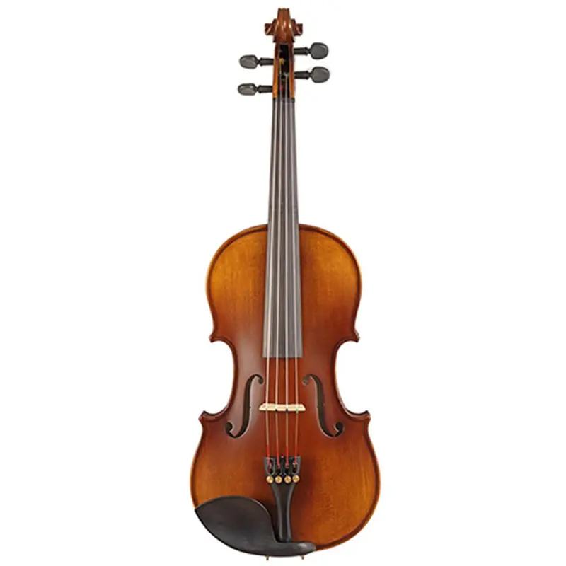 4/4 Student Model Violin Outfit