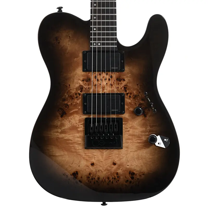 ESP LTD TE-1000 Evertune Electric Guitar, Poplar Burl Charcoal Burst