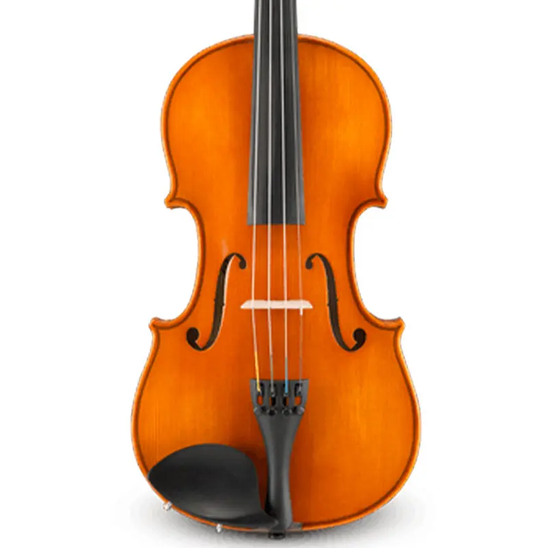 Samuel Eastman VL100 4/4 Student Violin w/ Case and Bow