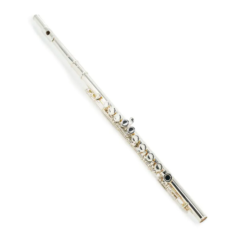 Pre-Owned Eastman EFL210 Student C Flute - Closed Hole | Used