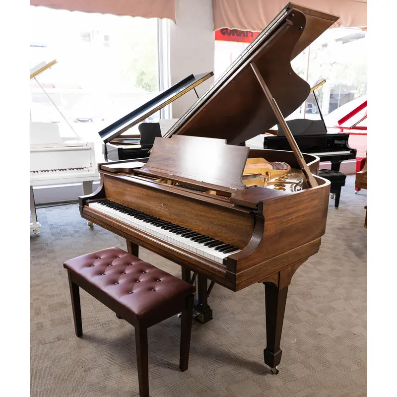 1925 Steinway Model M Grand Piano | Satin Walnut | Used
