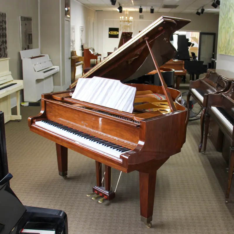 WG51 5'1" Baby Grand Piano
