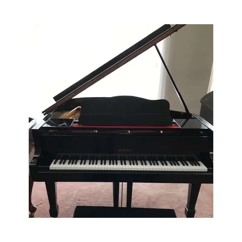 Aeolian Grand Piano